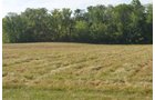 Property photo 16 - REAL ESTATE AUCTION - 26+/- ACRES IN 3 TRACTS IN SOUTHWEST ALLEN COUNTY, INDIANA
